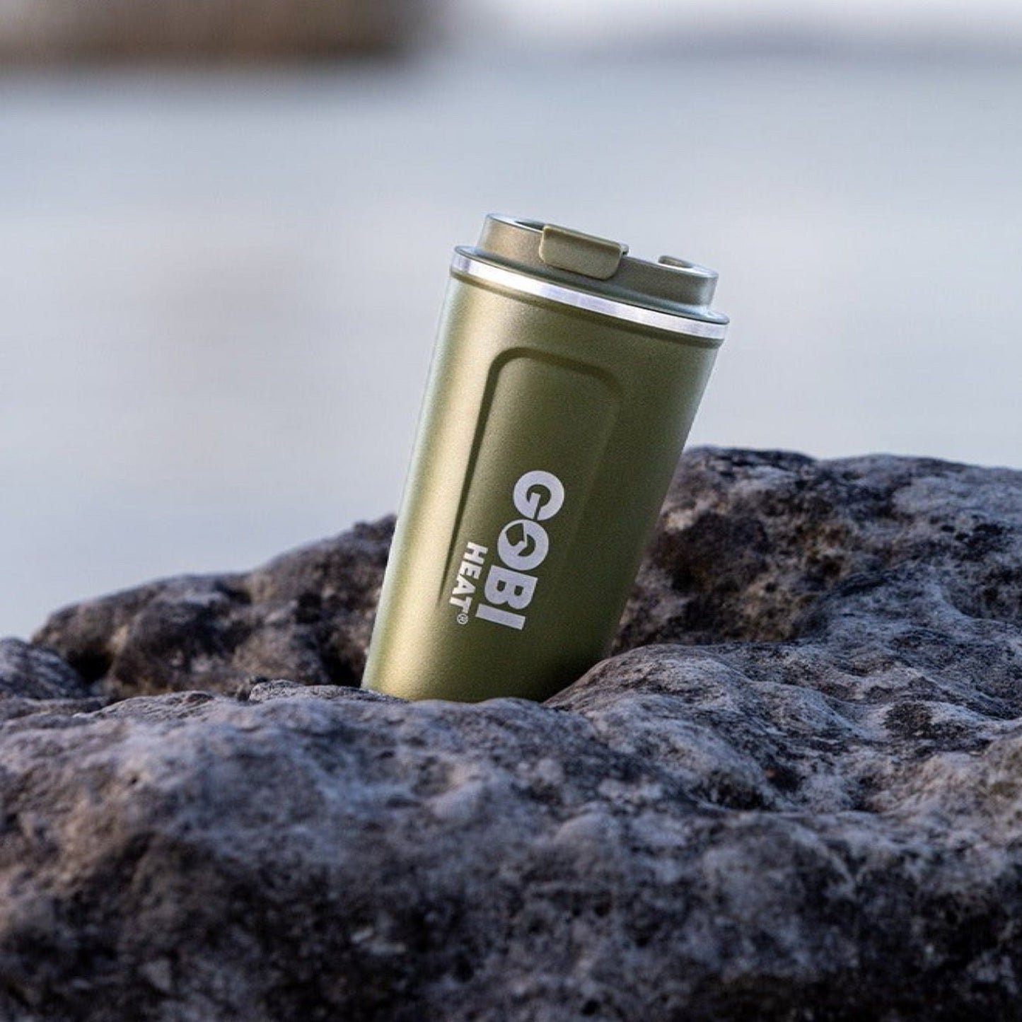 17oz Stainless Insulated Mug