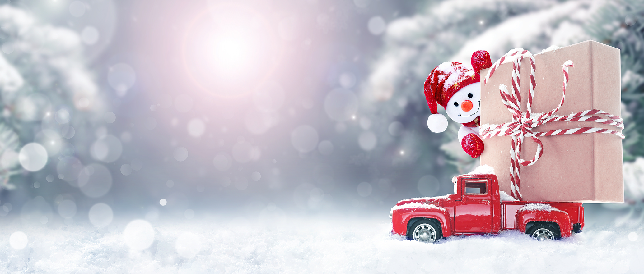 snowman on the back of a truck holding a package